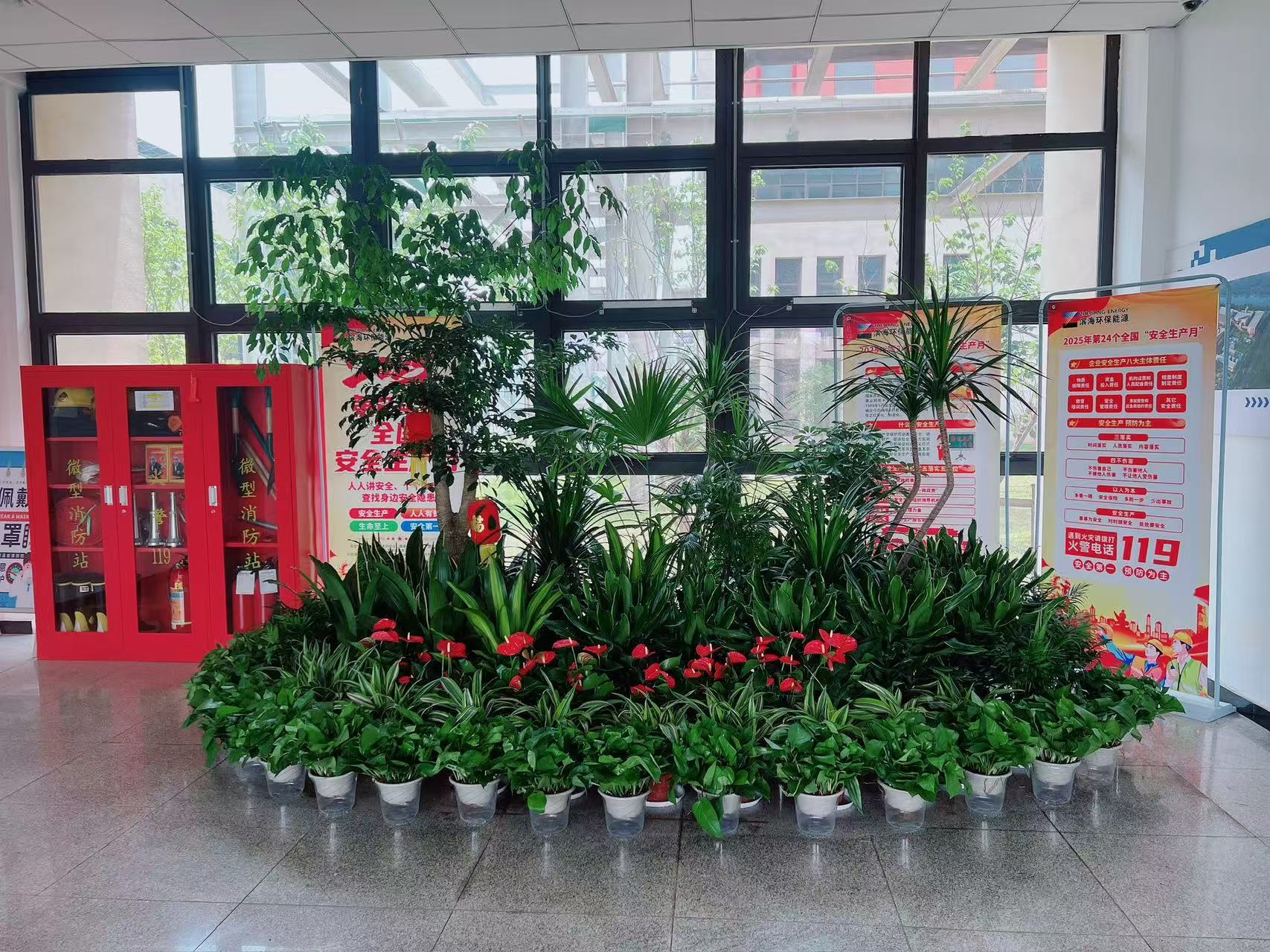 探寻宁波镇海盆景租赁设计，解锁别样绿意风情